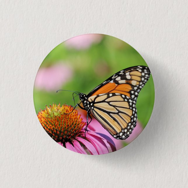 Monarch    button (Front)