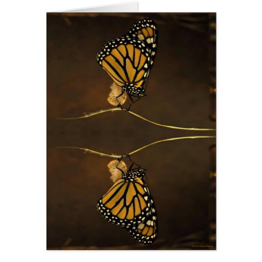 Monarch Card (Front)