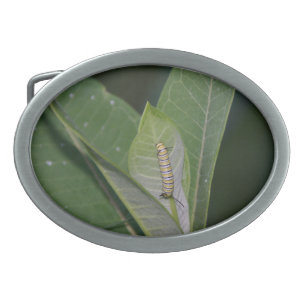 Monarch Caterpillar belt buckle