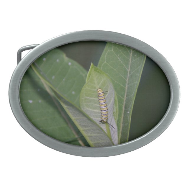 Monarch Caterpillar belt buckle (Front)
