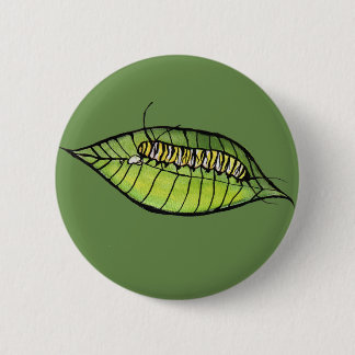 Monarch Caterpillar Button