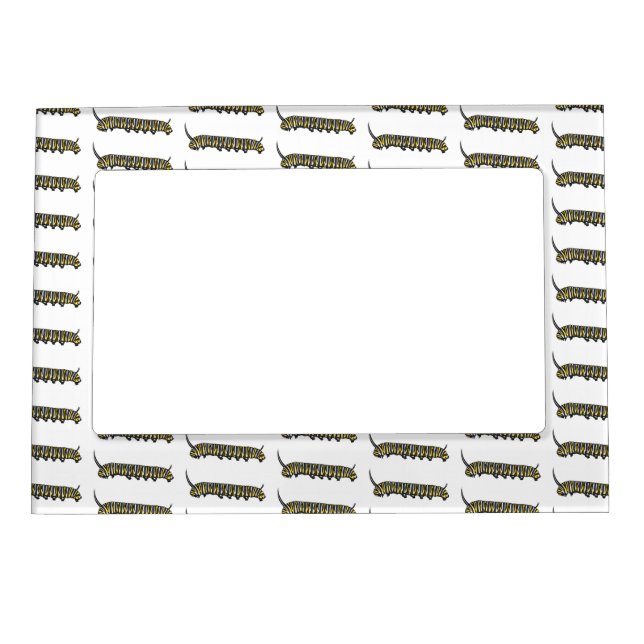 Monarch caterpillar cartoon illustration  magnetic frame (Front)