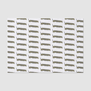 Monarch caterpillar cartoon illustration tissue paper