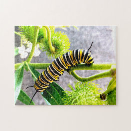 Monarch Caterpillar Jigsaw Puzzle