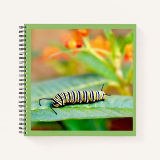 Monarch Caterpillar Spiral Notebook