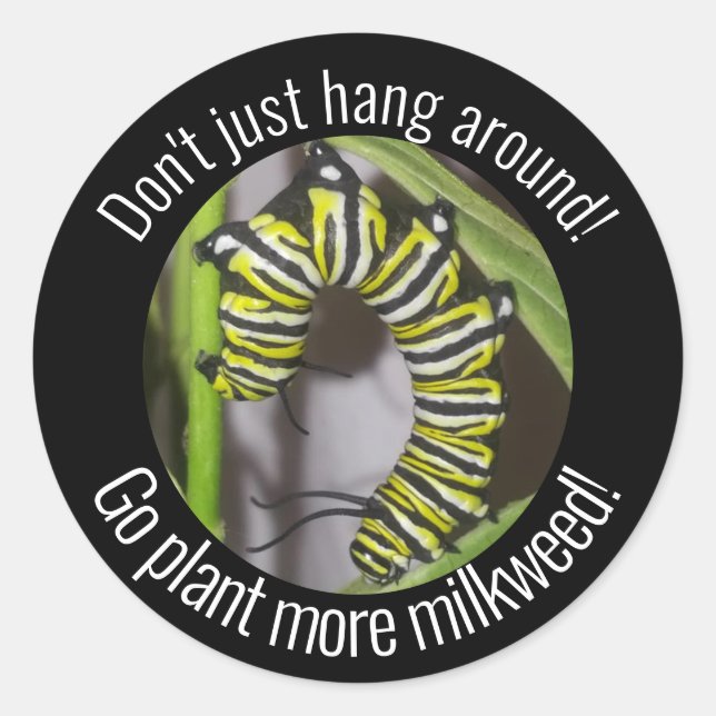 Monarch caterpillar sticker (Front)
