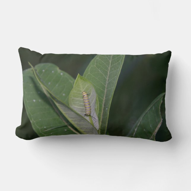 Monarch Caterpillow Lumbar Pillow (Front)