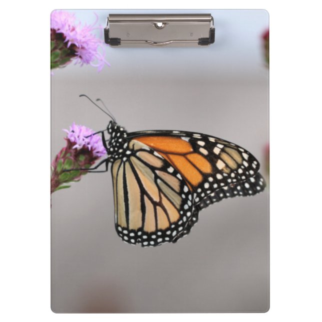 Monarch  clipboard (Front)