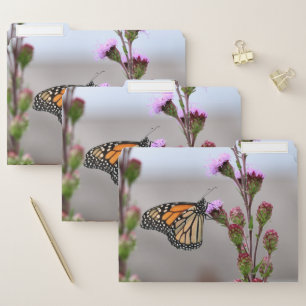 Monarch File Folder
