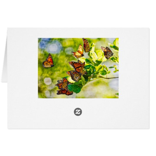 Monarch Gathering (Back Horizontal)