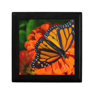 Monarch Gift Box