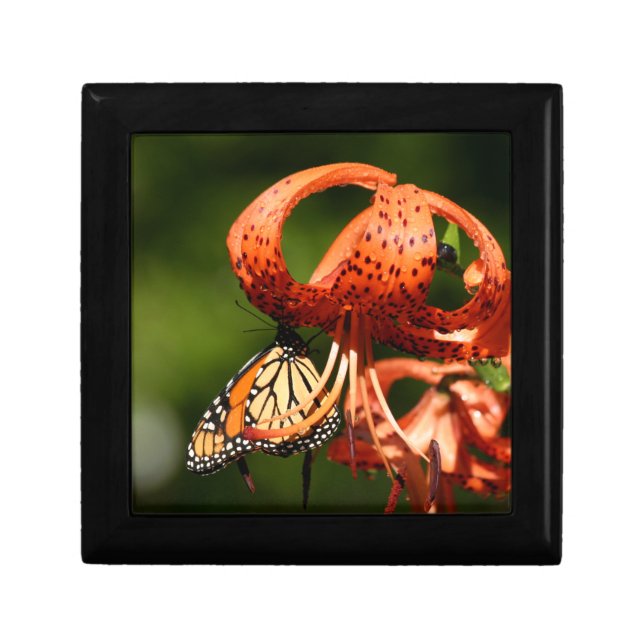 Monarch Gift Box (Front)