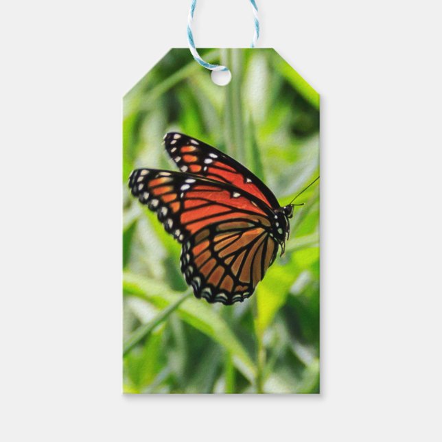 Monarch Gift Tags (Front)