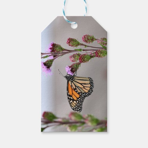 Monarch    gift tags