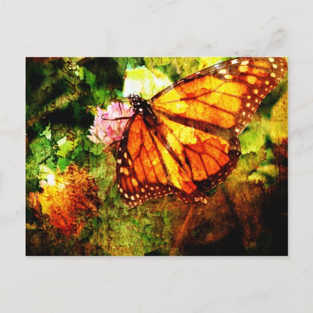 Monarch Grunge Postcard (Front)