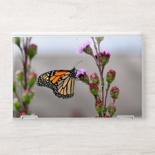 Monarch HP Laptop Skin