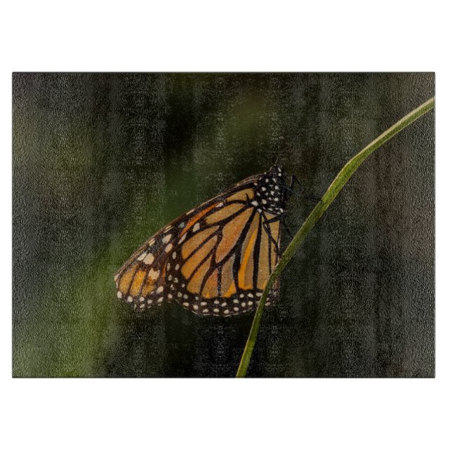 Monarch illuminated cutting board (Front)