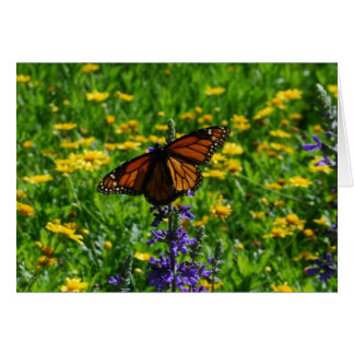 Monarch in the Meadow Cards