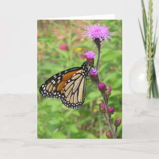 Monarch/Liatris Card