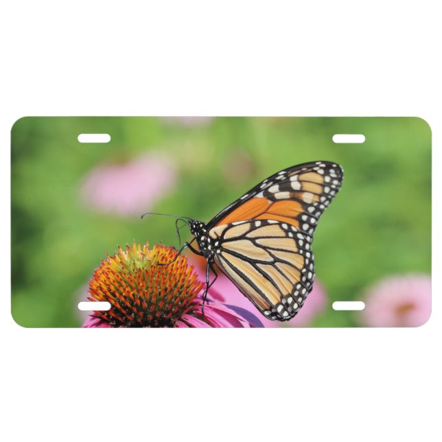 Monarch  license plate (Front)