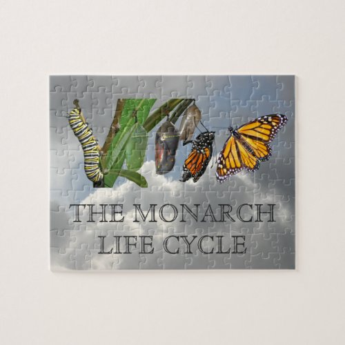 MONARCH LIFE CYCLE JIGSAW PUZZLE