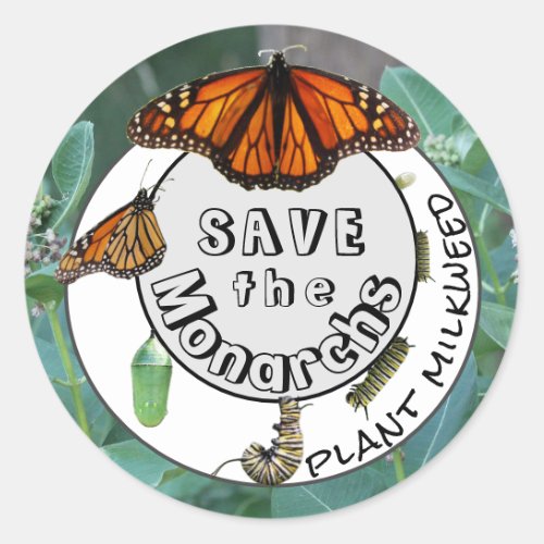 Monarch Life Cycle Plant Milkweed Classic Round Sticker