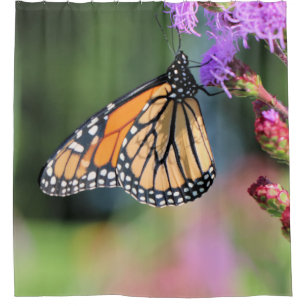 Monarch lunch shower curtain