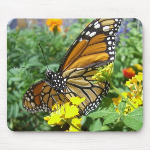 Monarch Majesty 1 Mousepad