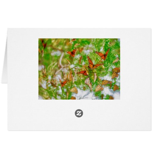 Monarch Montage (Back Horizontal)