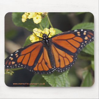 Monarch Mousemat Mouse Pad