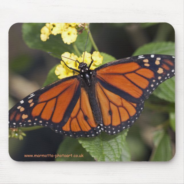 Monarch Mousemat Mouse Pad (Front)