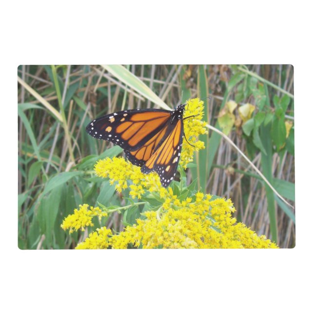 Monarch of the Garden Placemat (Front)