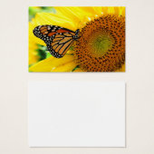 Monarch on a Sunflower ,Profile card (Front & Back)
