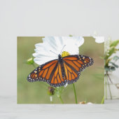 Monarch on Cosmos (Standing Front)