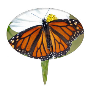 Monarch on Cosmos Cake Topper
