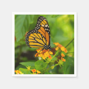 Monarch On Lantana Napkins