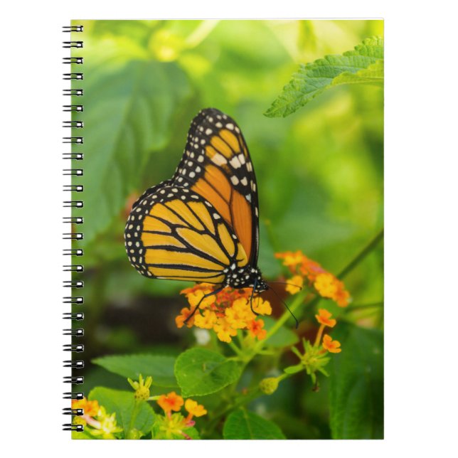 Monarch On Lantana Notebook (Front)