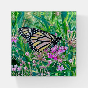 Monarch on Milkweed Pretty Butterfly   Paperweight