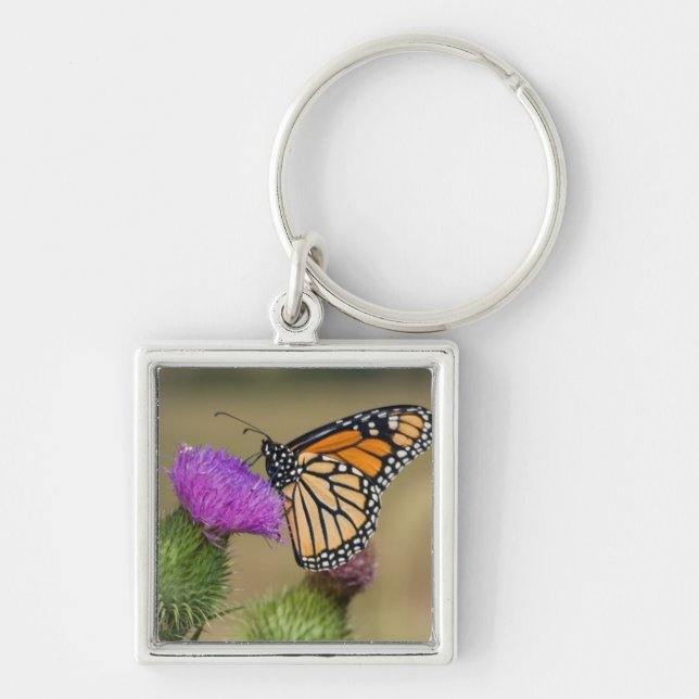 Monarch on pasture Thistle Prairie Ridge Keychain (Front)
