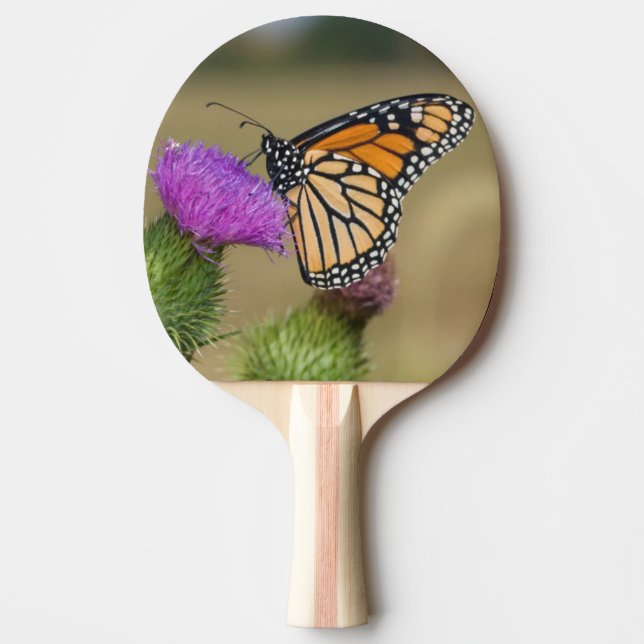 Monarch on pasture Thistle Prairie Ridge Ping Pong Paddle (Front)
