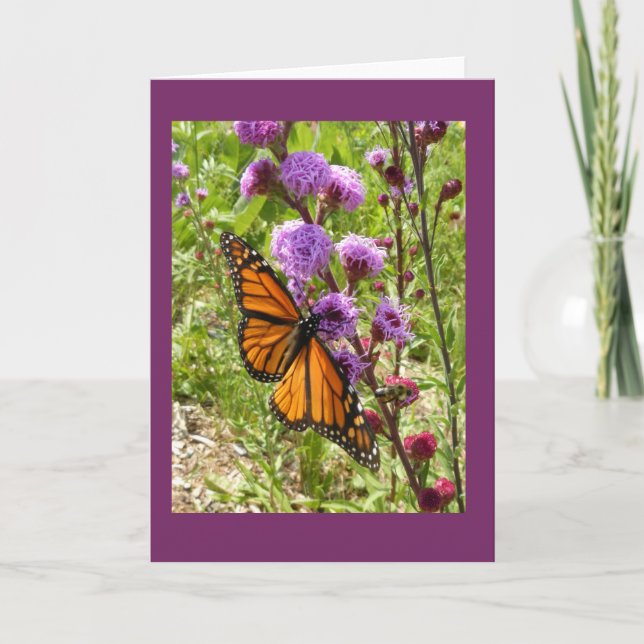 Monarch on Prairie Gayfeather Blank Note Card (Front)