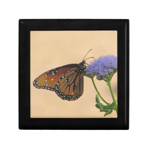 Monarch on Purple Flower Nature Photo Butterfly Gift Box