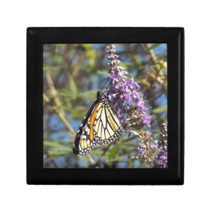 Monarch on Vitex Jewelry Box