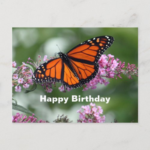 Monarch Orange Butterfly Floral Photo Birthday Postcard