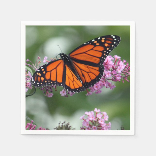 Monarch Orange Butterfly Floral Photo Napkins (Front)