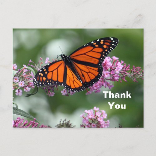 Monarch Orange Butterfly Floral Photo Thank You Postcard