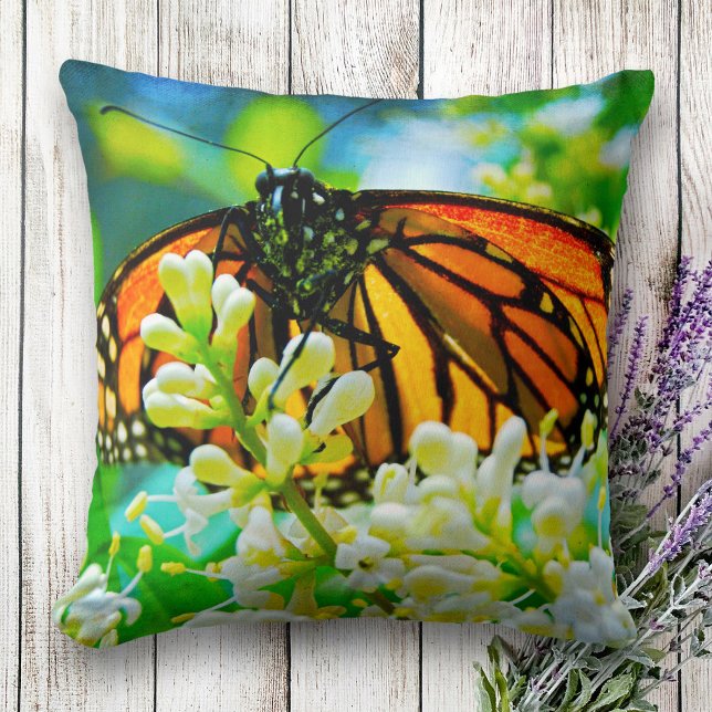 Monarch orange butterfly photo white flower bold throw pillow (Creator Uploaded)