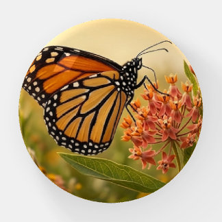 Monarch  paperweight