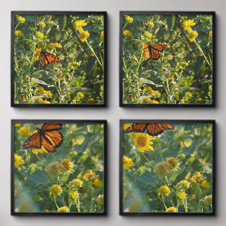 Monarch Peel And Stick Photo Tile