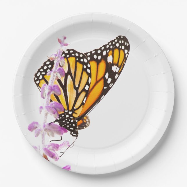 Monarch perched on lavender paper plates (Front)